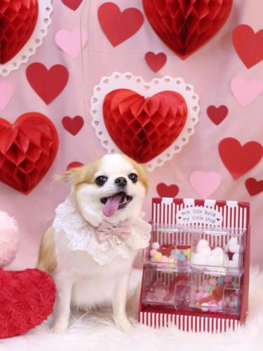 20240225くうくん